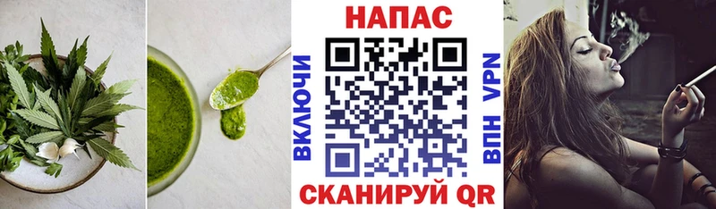 купить   мега tor  Canna-Cookies марихуана  Дорогобуж 