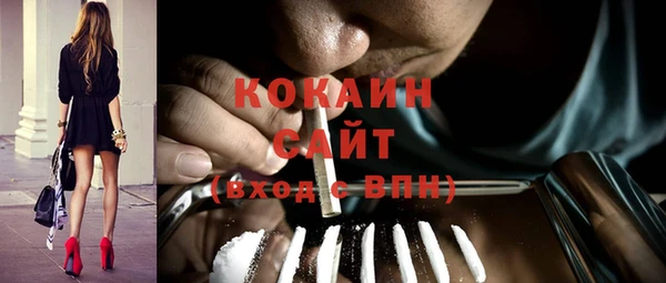 шишки Богородицк