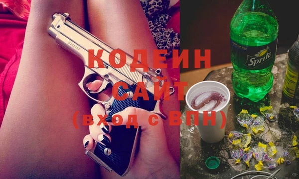 шишки Богородицк