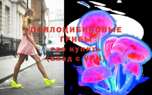 герыч Богородск