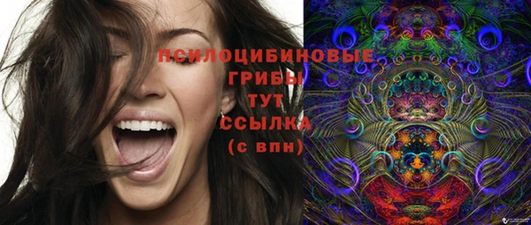 прущие крисы Богданович