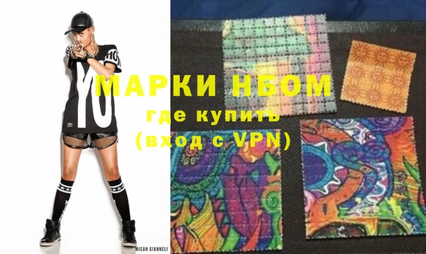 шишки Богородицк