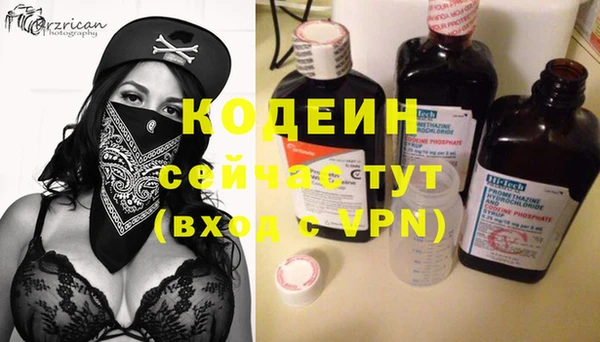 шишки Богородицк