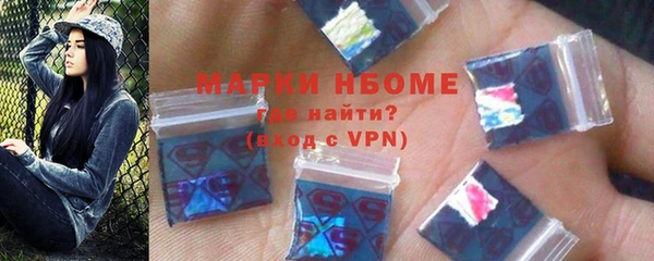 шишки Богородицк