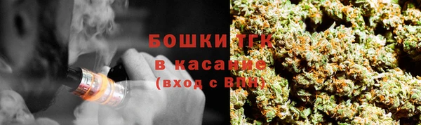 шишки Богородицк
