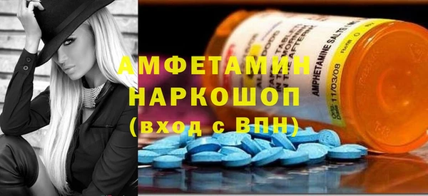 шишки Богородицк