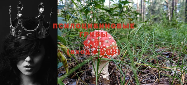 прущие крисы Богданович